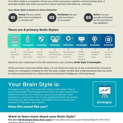 Brain Style eBook - Strategist
