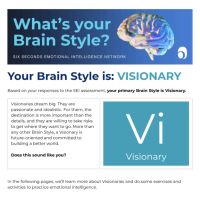 Brain Style eBook - Visionary