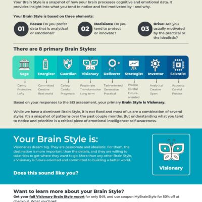 Brain Style eBook - Visionary