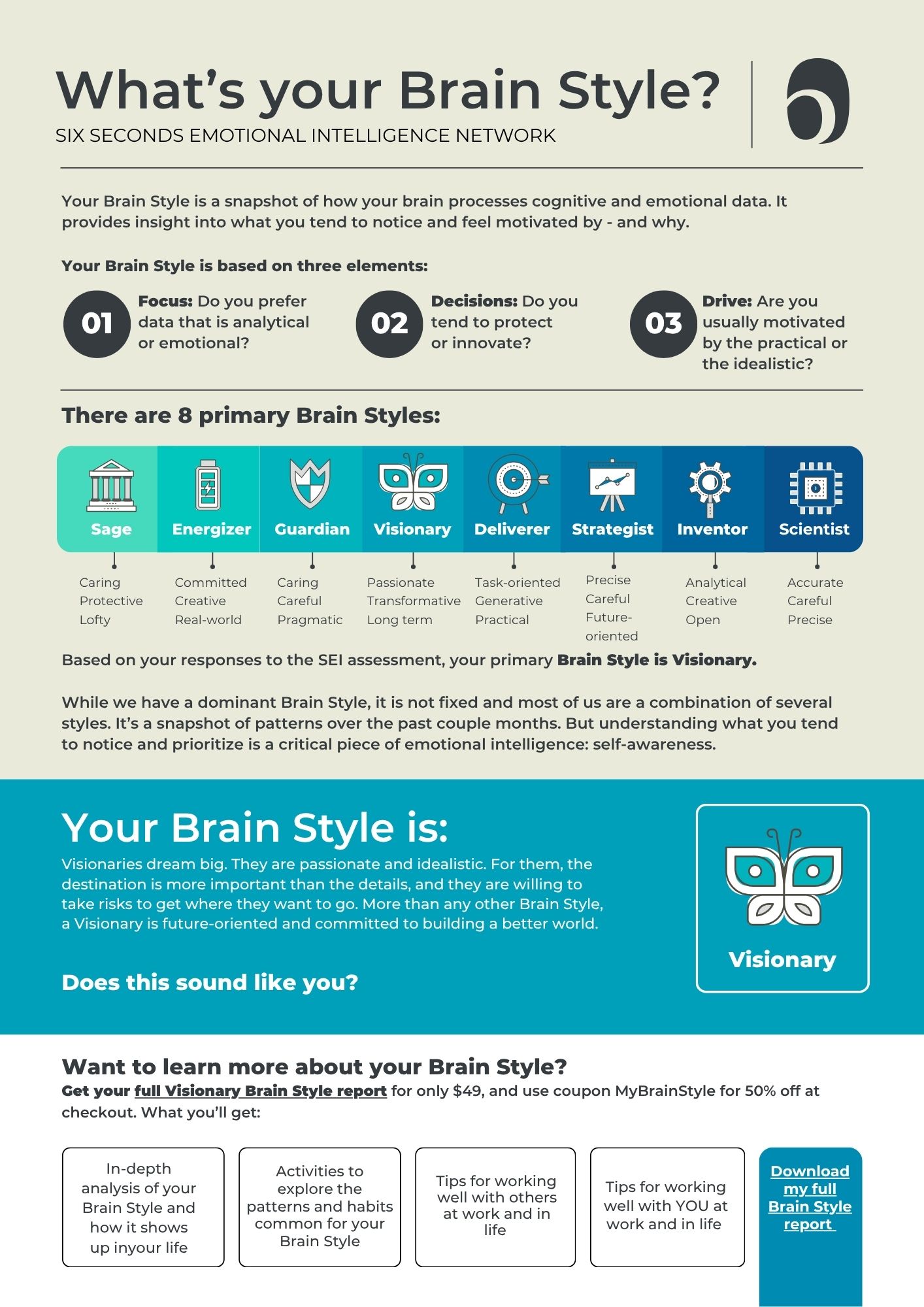 Brain Style eBook - Visionary