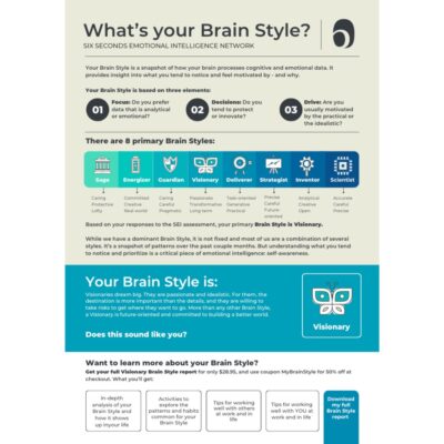 Brain Style eBook - Visionary