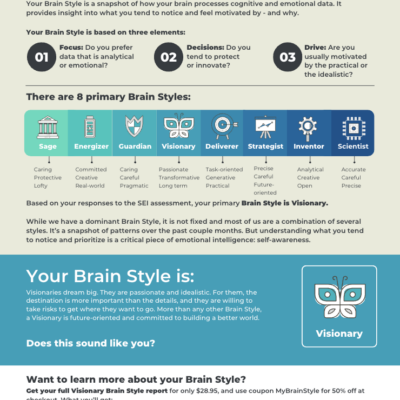 Brain Style eBook - Visionary